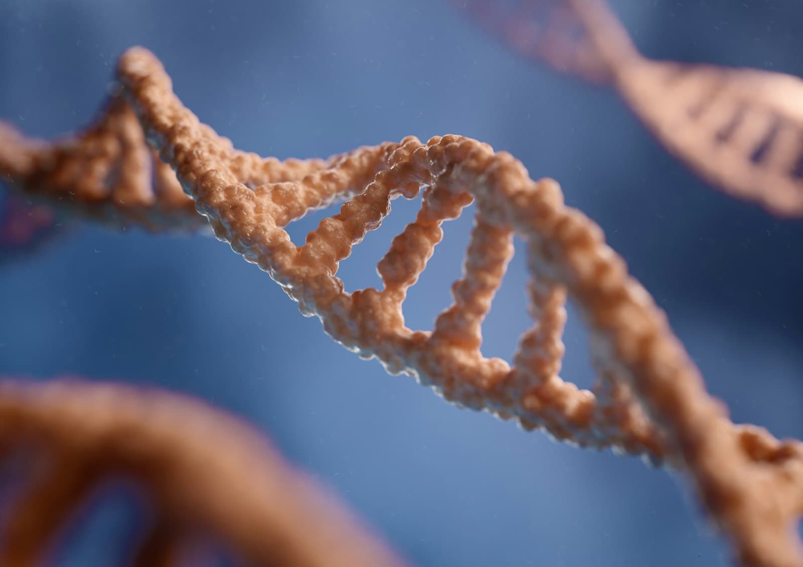 DNA 이중나선 근접 이미지